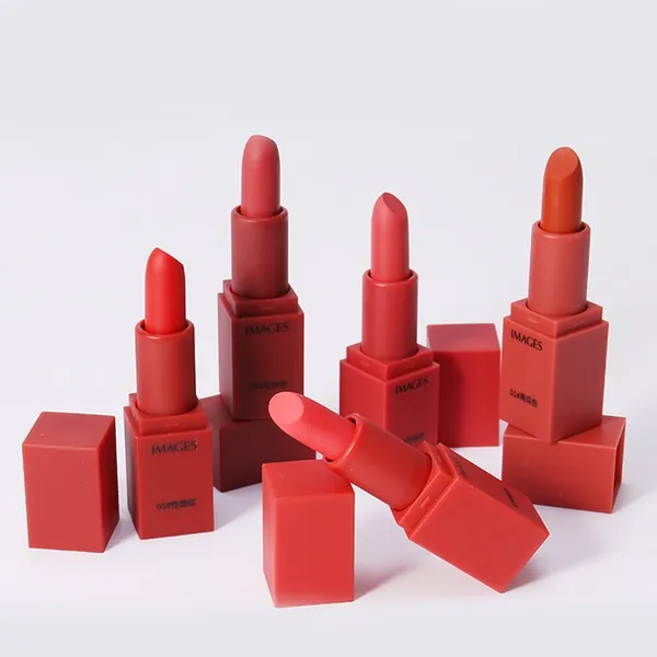 Colorful Lipstick Cosmetic Makeup Waterproof Long Lasting LipStick